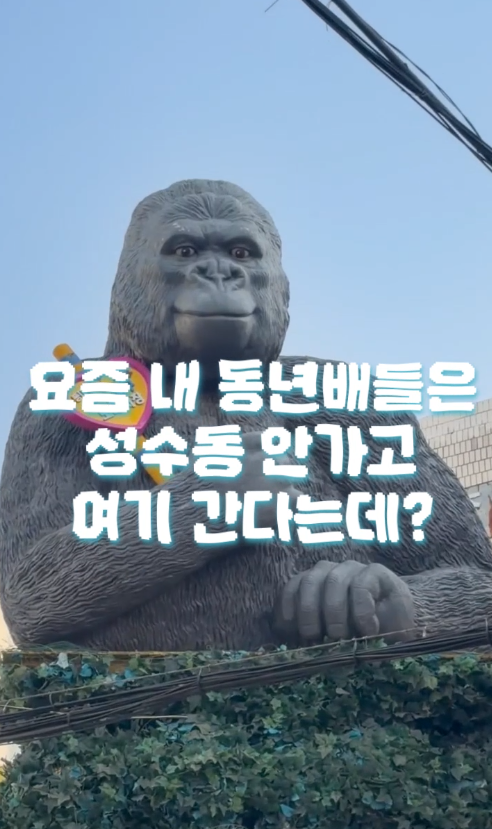 a3b7d3c12914b077c2c7e55f51edb257_1775464774_3095.png a3b7d3c12914b077c2c7e55f51edb257_1775464774_3095.png