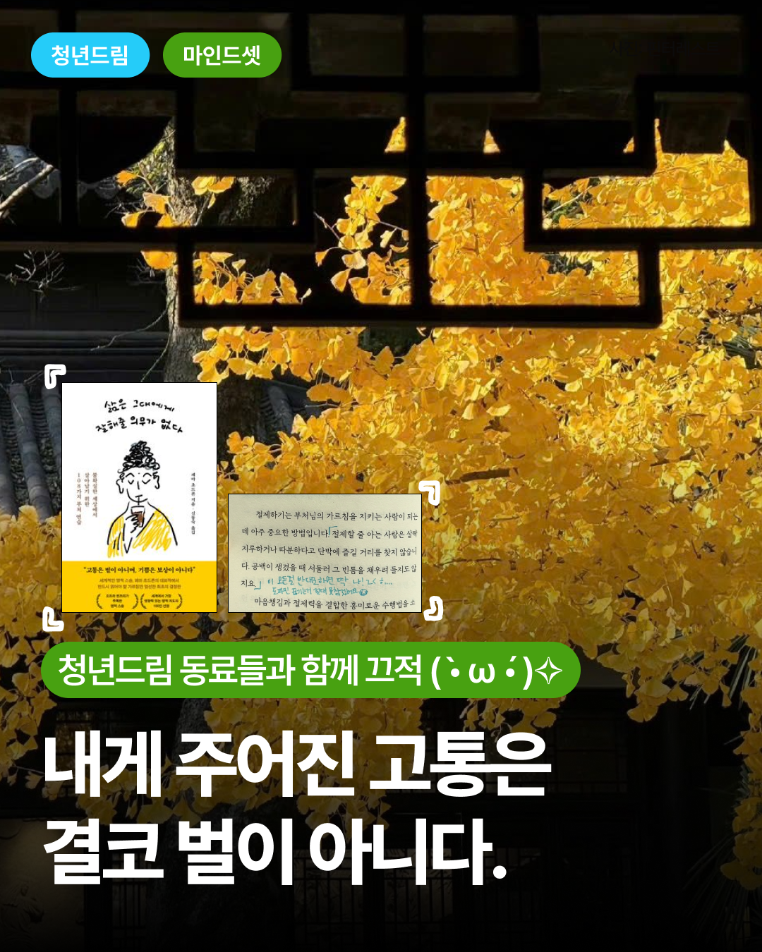 89e00e3b8dfb38d8342fbded393aa9b3_1789030006_8377.png