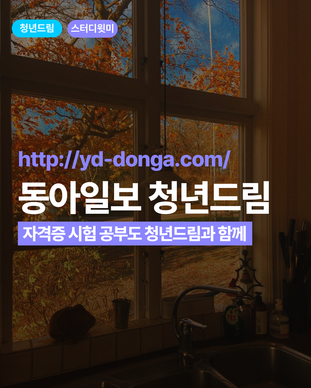 e88b1e3562836eb6319b9319cc47c795_1789534154_2511.png